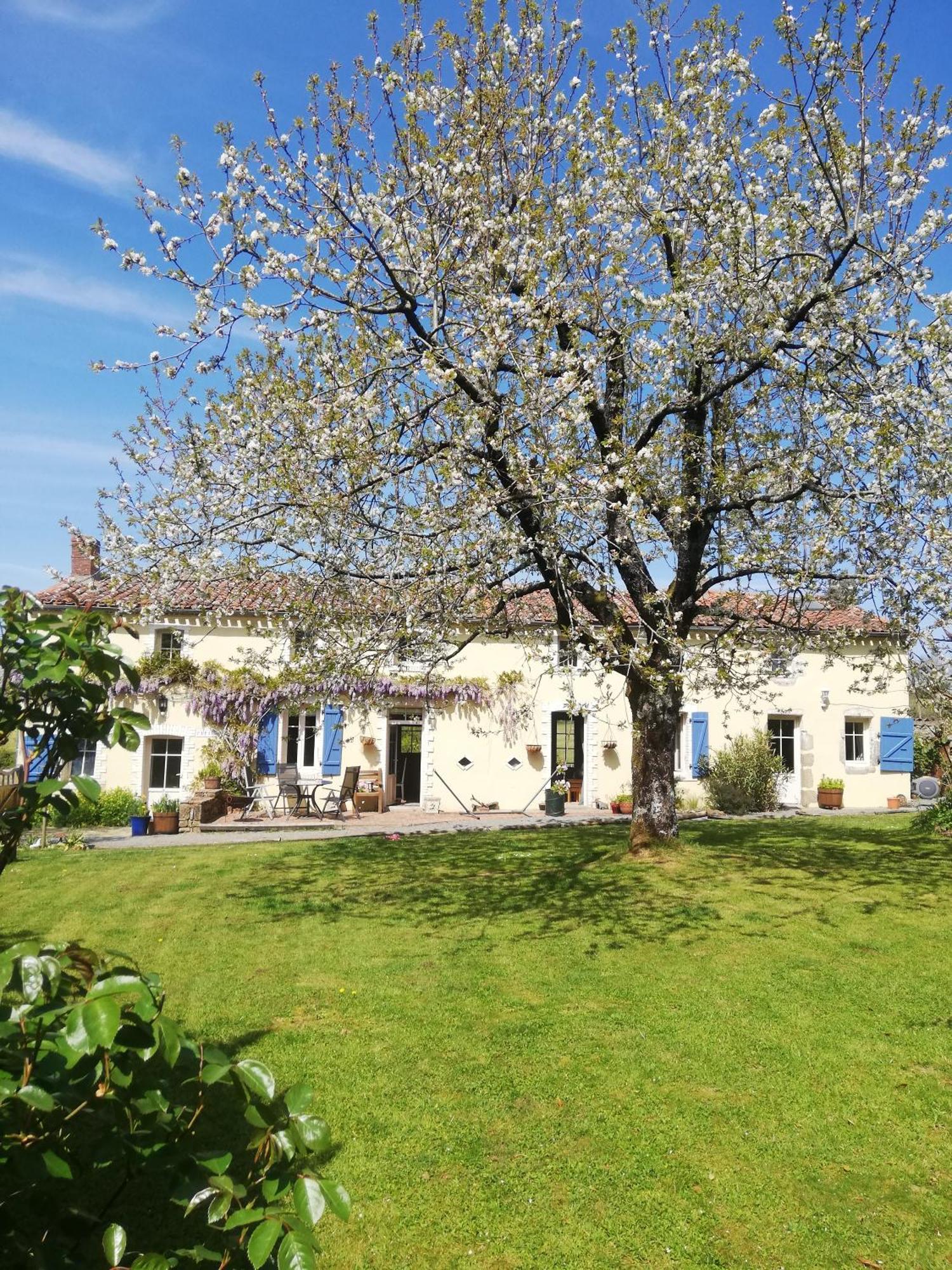 Papillons B&B - Beauty, Comfort And Peace 25 Mins From Puy Du Fou Montournais Ngoại thất bức ảnh